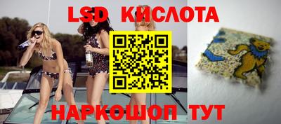 ГАЛЛЮЦИНОГЕННЫЕ ГРИБЫ Кандалакша