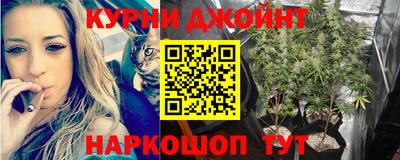 дмт Камышлов