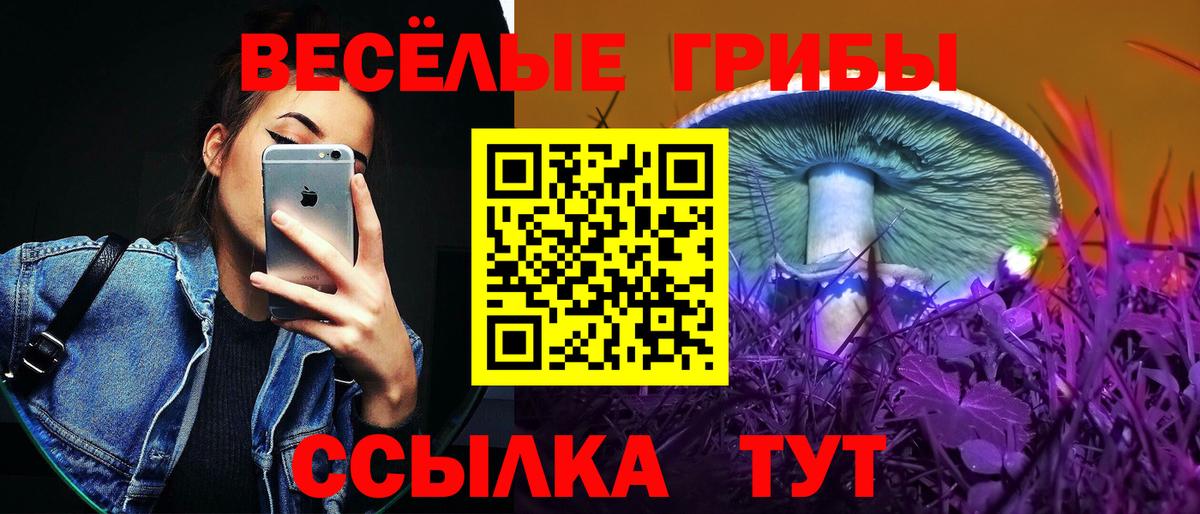 Псилоцибиновые грибы мухоморы Краснокаменск